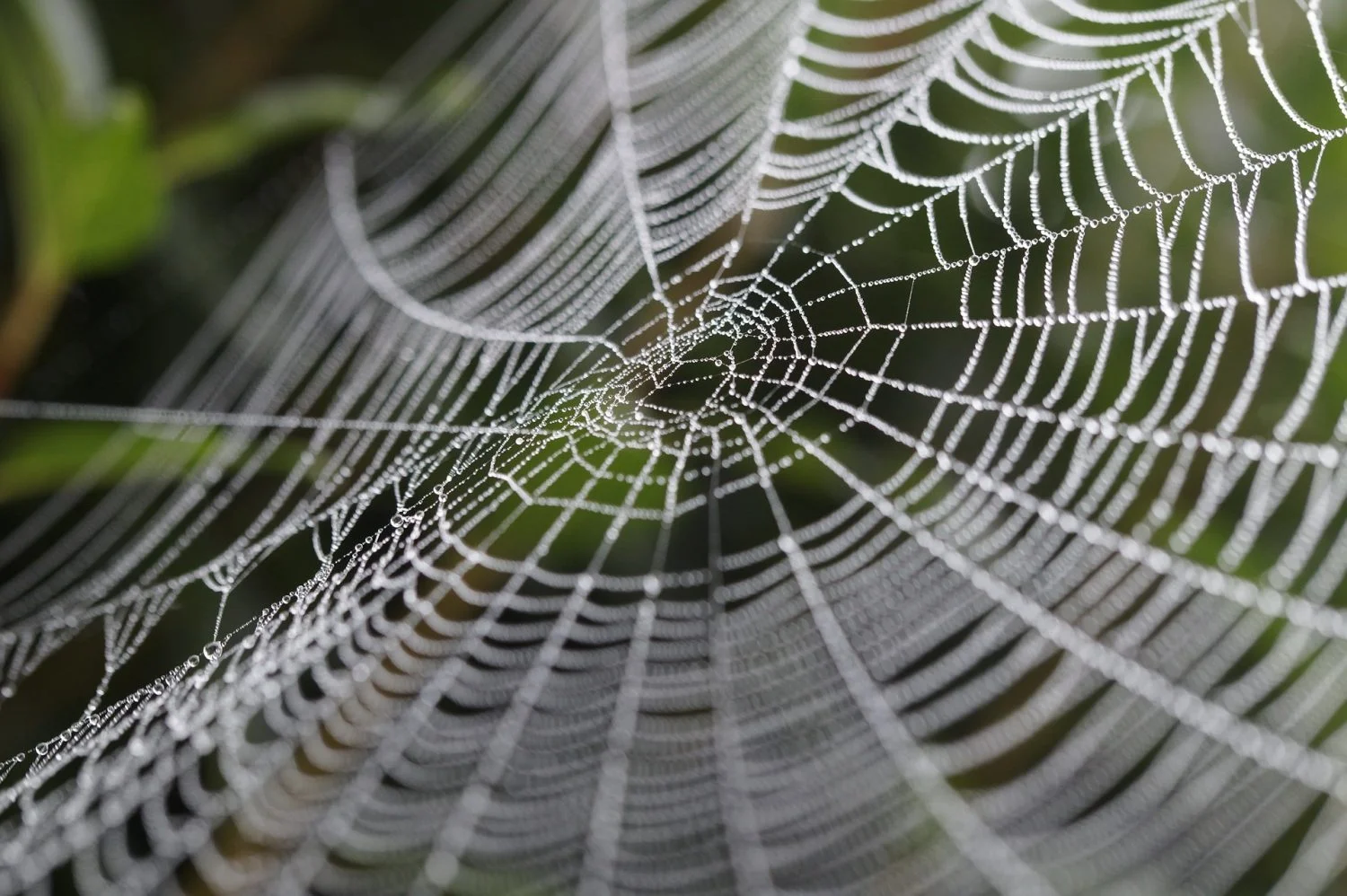 Pillar: Catching like a spider web